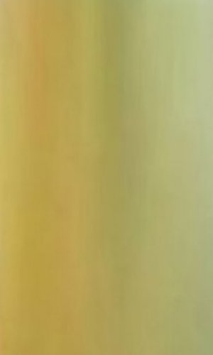 Индивидуалка Алина